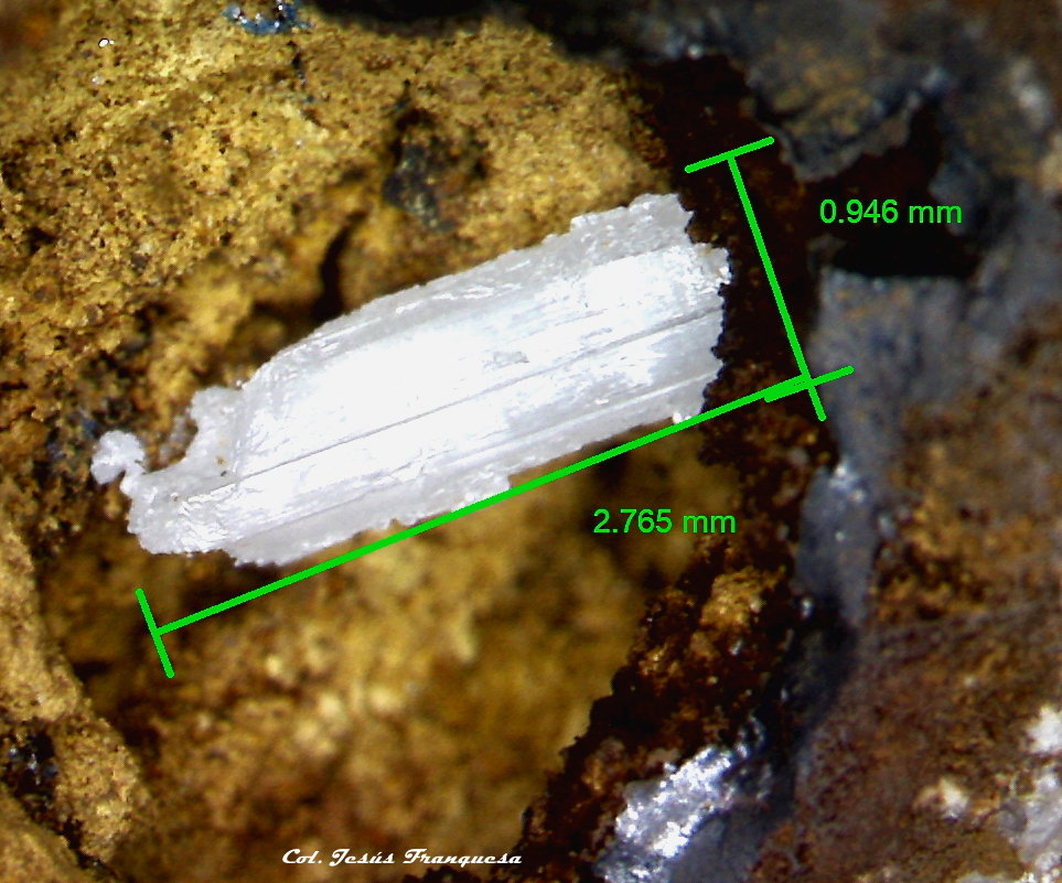 Cerusita.
2´765 x 0´946 mm.
(Autor: Jesus Franquesa Baucells)