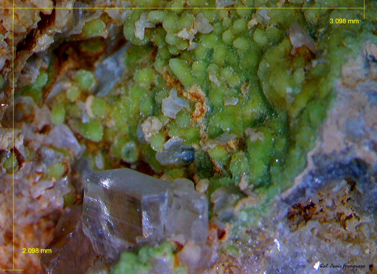 Cerusita y Fosfohedifana.
3´098 x 2´098 mm.
(Autor: Jesus Franquesa Baucells)