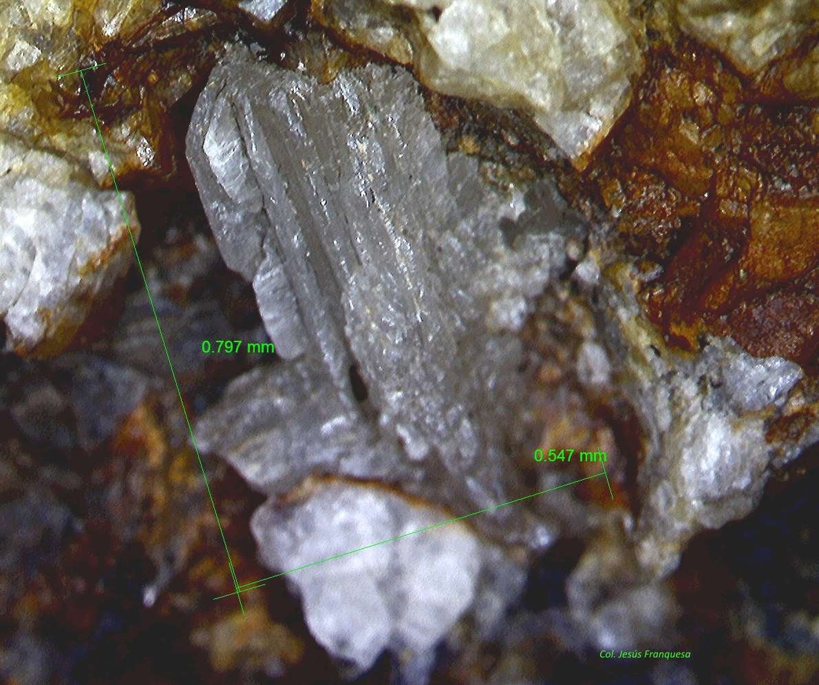 Cerusita.
0´797 x 0´547 mm..
(Autor: Jesus Franquesa Baucells)