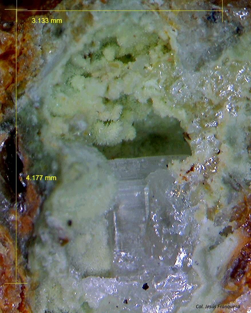 Cerusita y Piromorfita.
4´177x 3´133 mm.
(Autor: Jesus Franquesa Baucells)