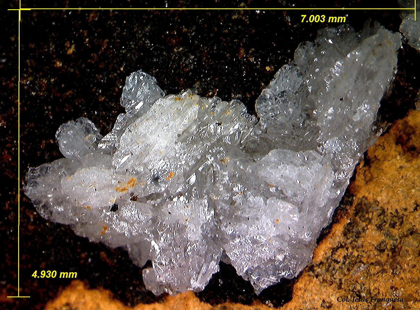 Cerusita.
7.00 x 4.93 mm.
(Autor: Jesus Franquesa Baucells)