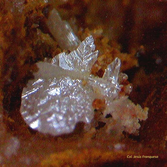 Cerusita.
1´405 x 1´218 mm.
(Autor: Jesus Franquesa Baucells)