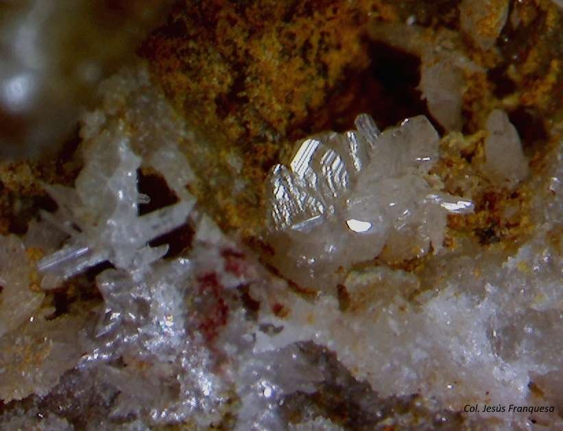 Cerusita.
2´294 x 1´710 mm.
(Autor: Jesus Franquesa Baucells)