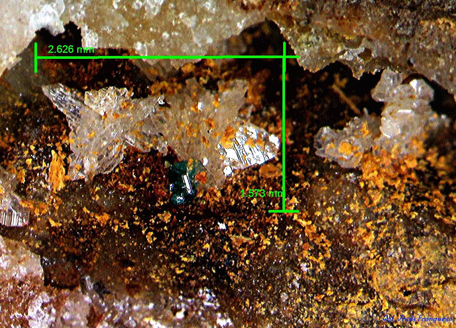 Cerusita y Paratacamita.
2´626 x 1´573 mm.
(Autor: Jesus Franquesa Baucells)