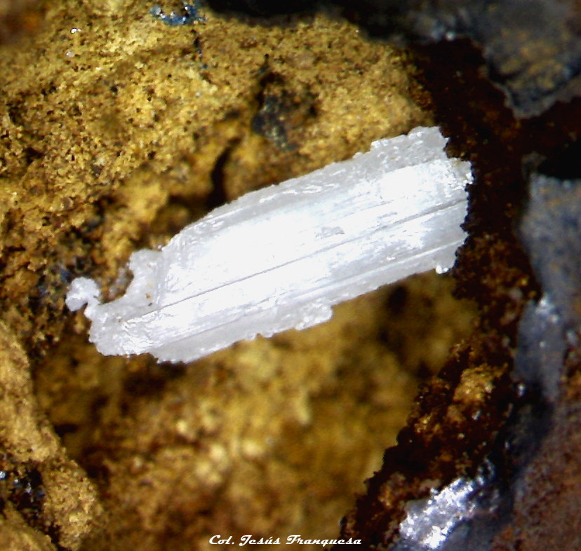 Cerusita.
2´765 x 0´946 mm.
(Autor: Jesus Franquesa Baucells)