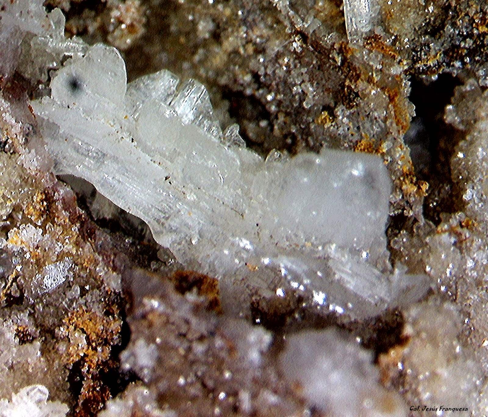 Cerusita.
3´428 x 3´005 mm.
(Autor: Jesus Franquesa Baucells)