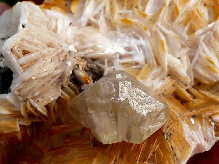 (Autor: nerofis2)
