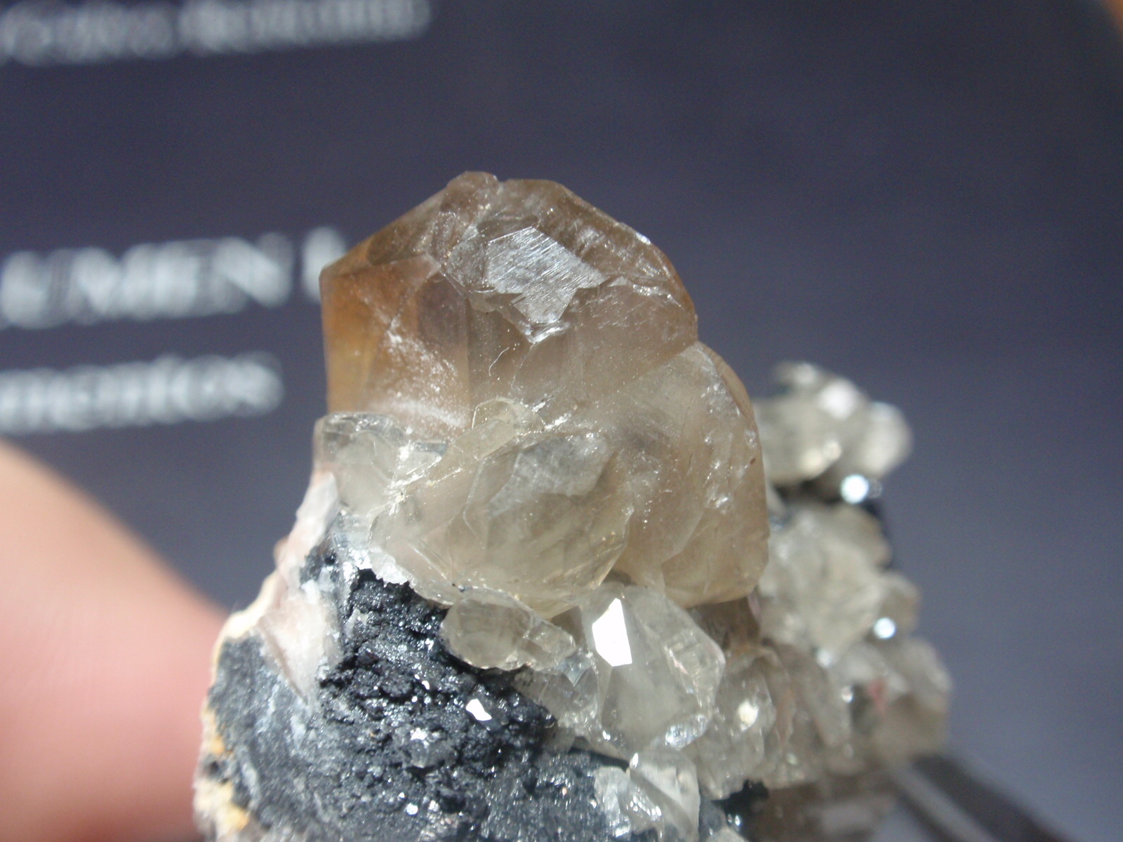 Cerusita
45x30 mm
(Autor: Ignacio)