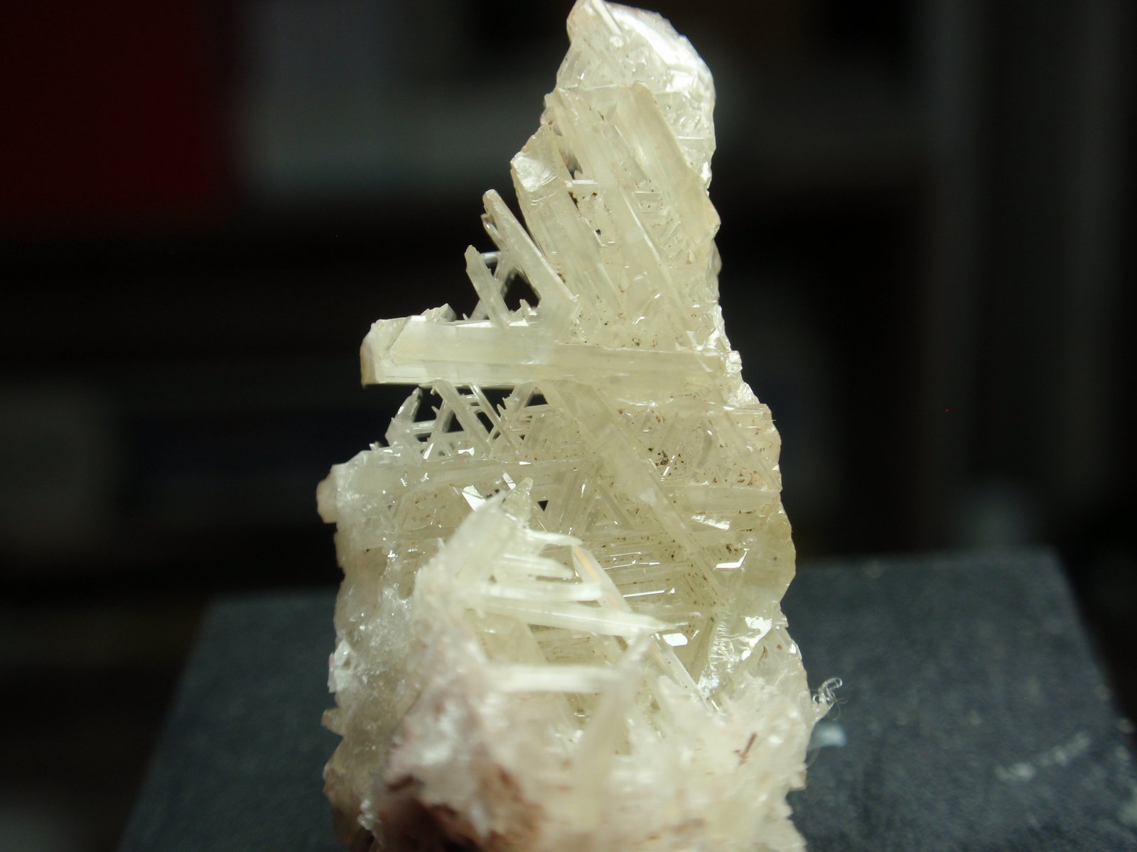 Cerusita
15x30 mm
(Autor: Ignacio)