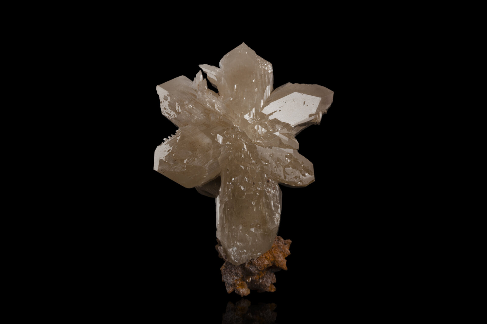 Cerusita
6 x 6 x 9.5 cm / Cristal principal: 6.2 cm
(Autor: Museo MIM)