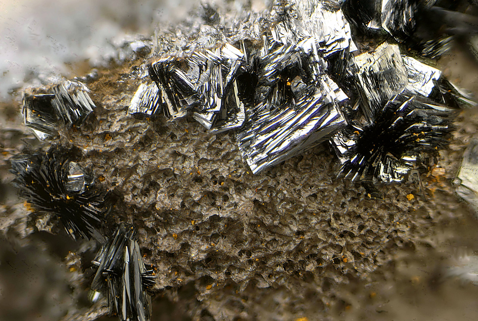 Pirolusita sobre Calcofanita
Campo de visión de 4 mm.
(Autor: Antonio Carmona)