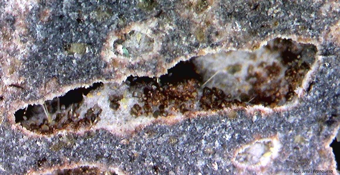 Chayesita
4 ´646 x 2´431 mm.
(Autor: Jesus Franquesa Baucells)