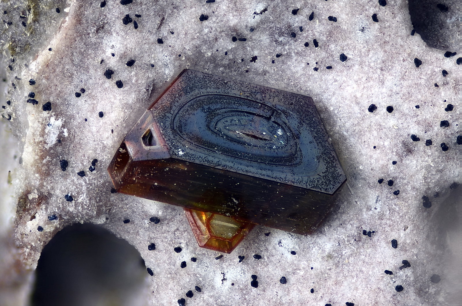 Chayesita
Campo de visión 2,3 mm
(Autor: Juan Miguel)