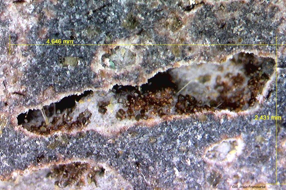 Chayesita
4´646 x 2´431 mm.
(Autor: Jesus Franquesa Baucells)
