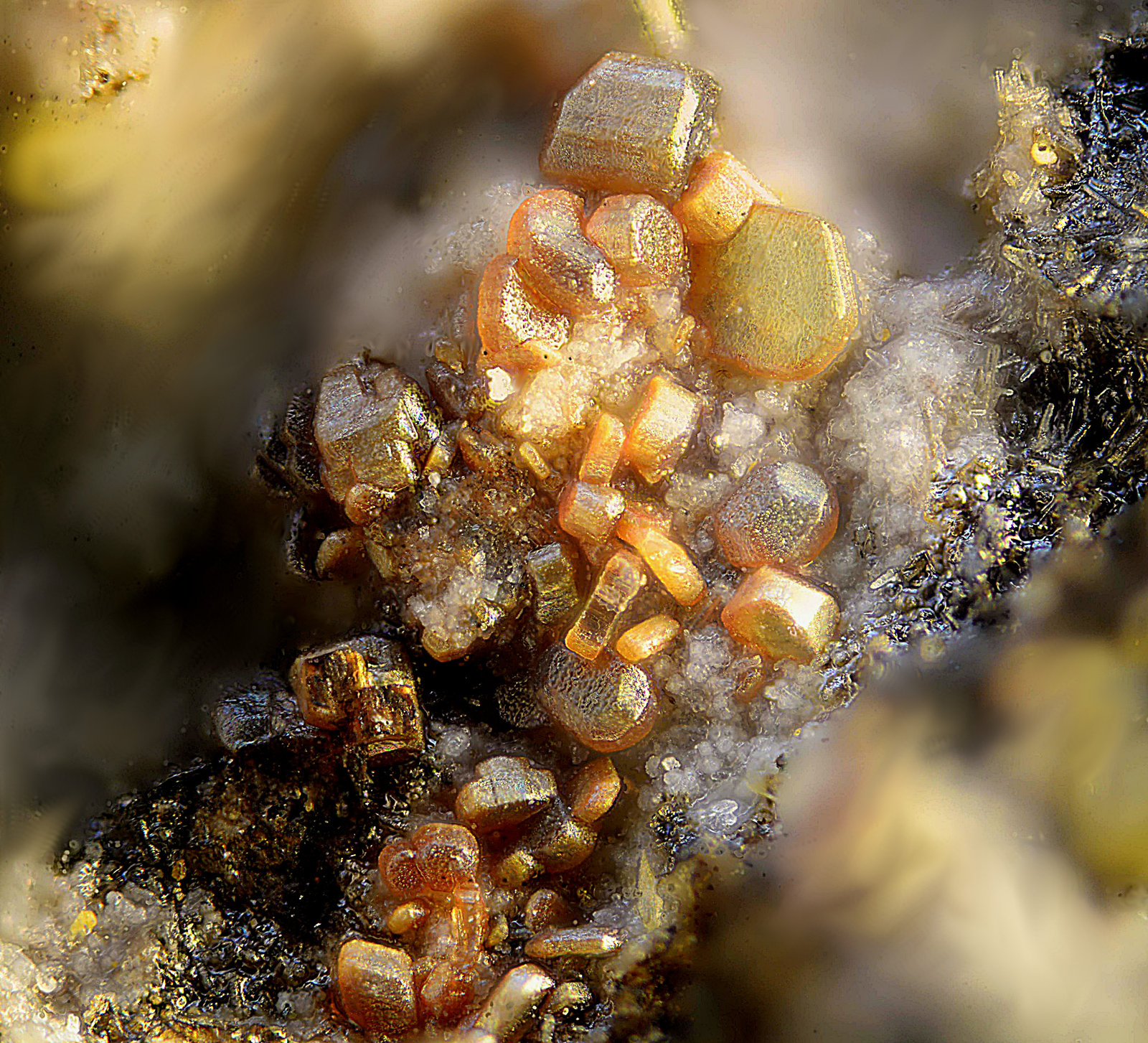 Chayesita
Campo de visión de 0,8 mm
(Autor: Antonio Carmona)