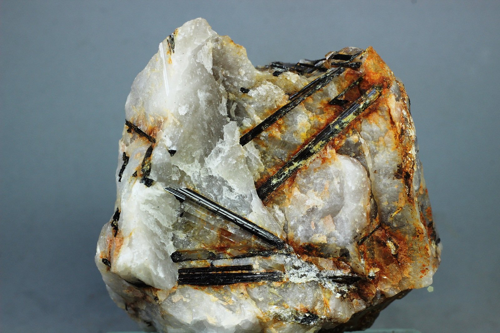 Chorlo
77x60 mm
(Autor: Juan Espino)