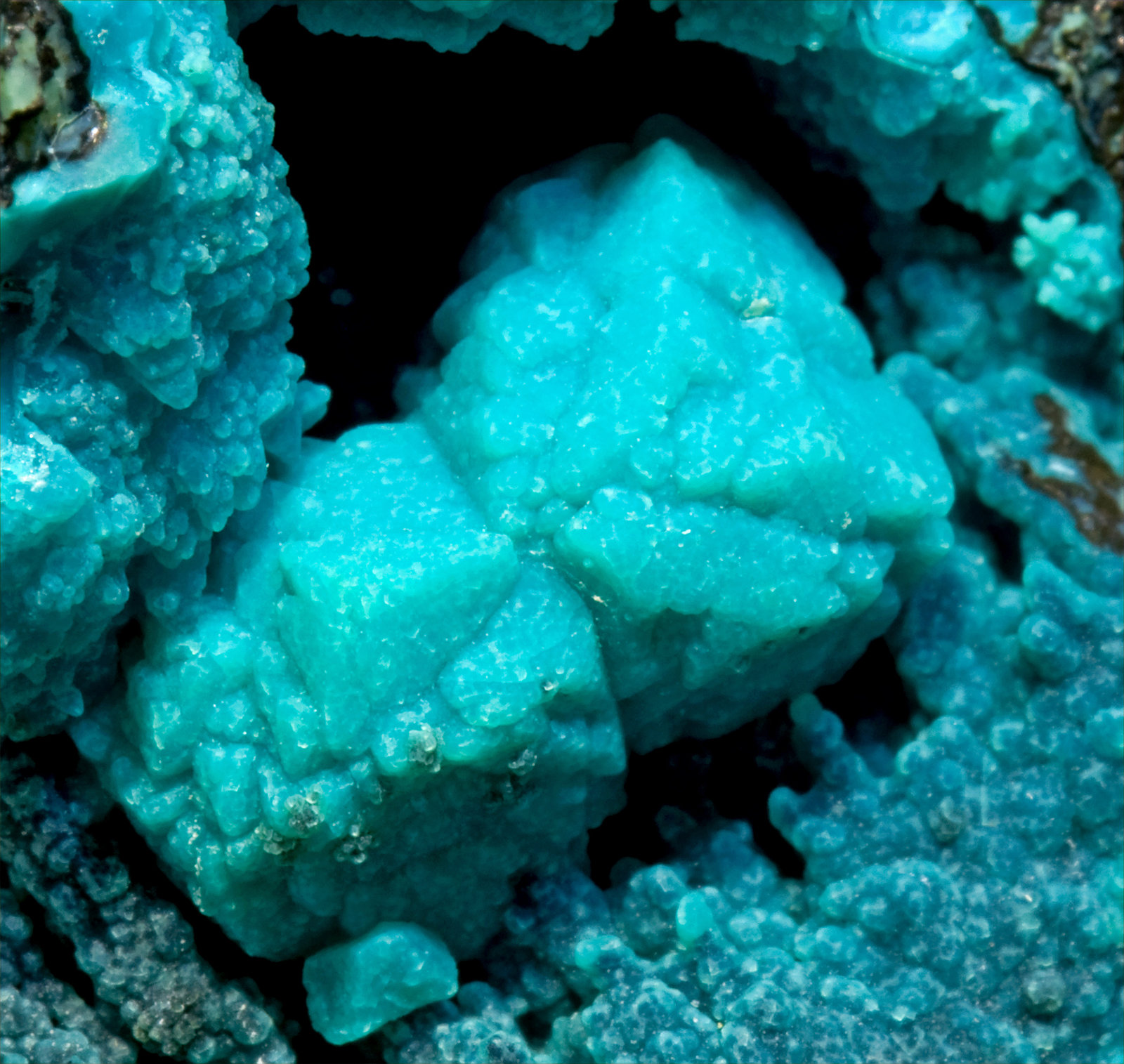 Crisocola pseudo Boleita
cristal mayor: 0.7 × 0.7 cm
(Autor: Jordi Fabre)