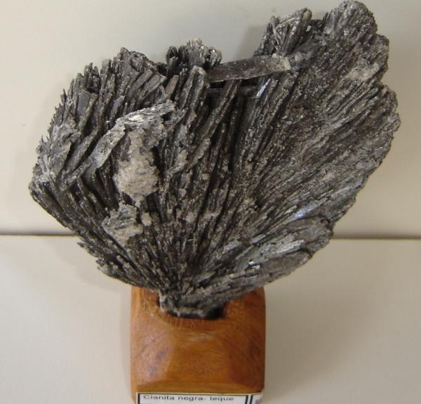 Cianita
11 x 9 x 0,6 cm
(Autor: Anisio Claudio)