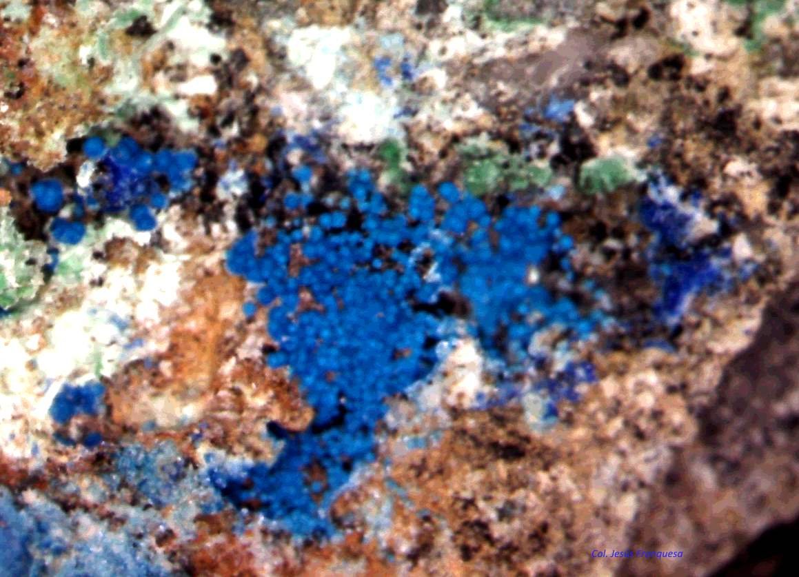 Cianotriquita.
4´5 x 2´7 mm.
(Autor: Jesus Franquesa Baucells)