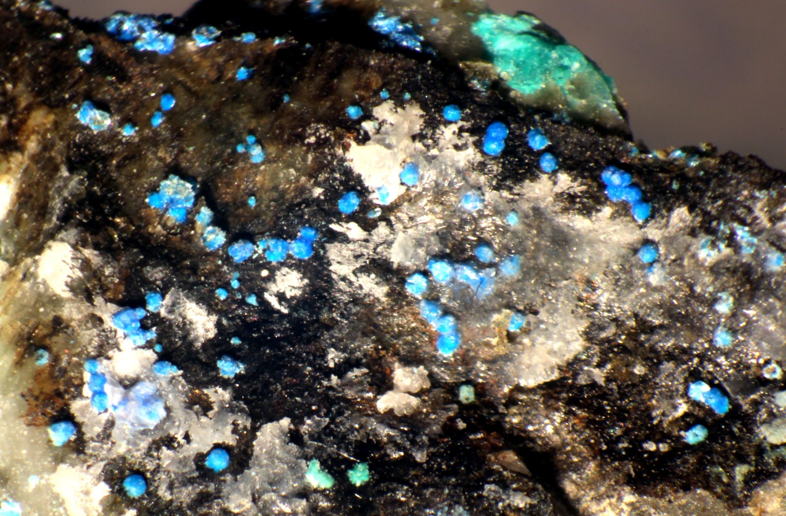 Cianotriquita
< 1 mm
(Autor: José Luis Zamora)