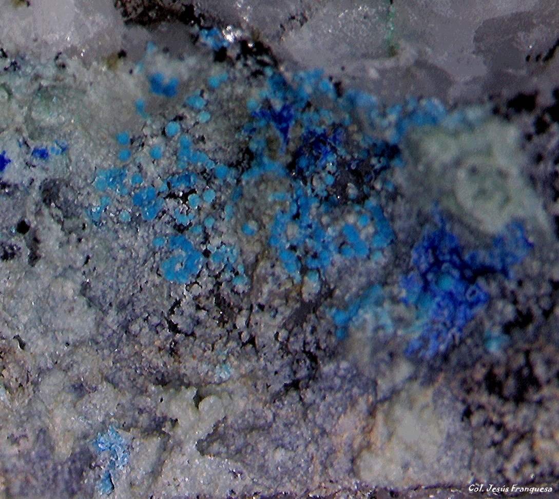 Cianotriquita.
2´330 x 1´894 mm.
(Autor: Jesus Franquesa Baucells)