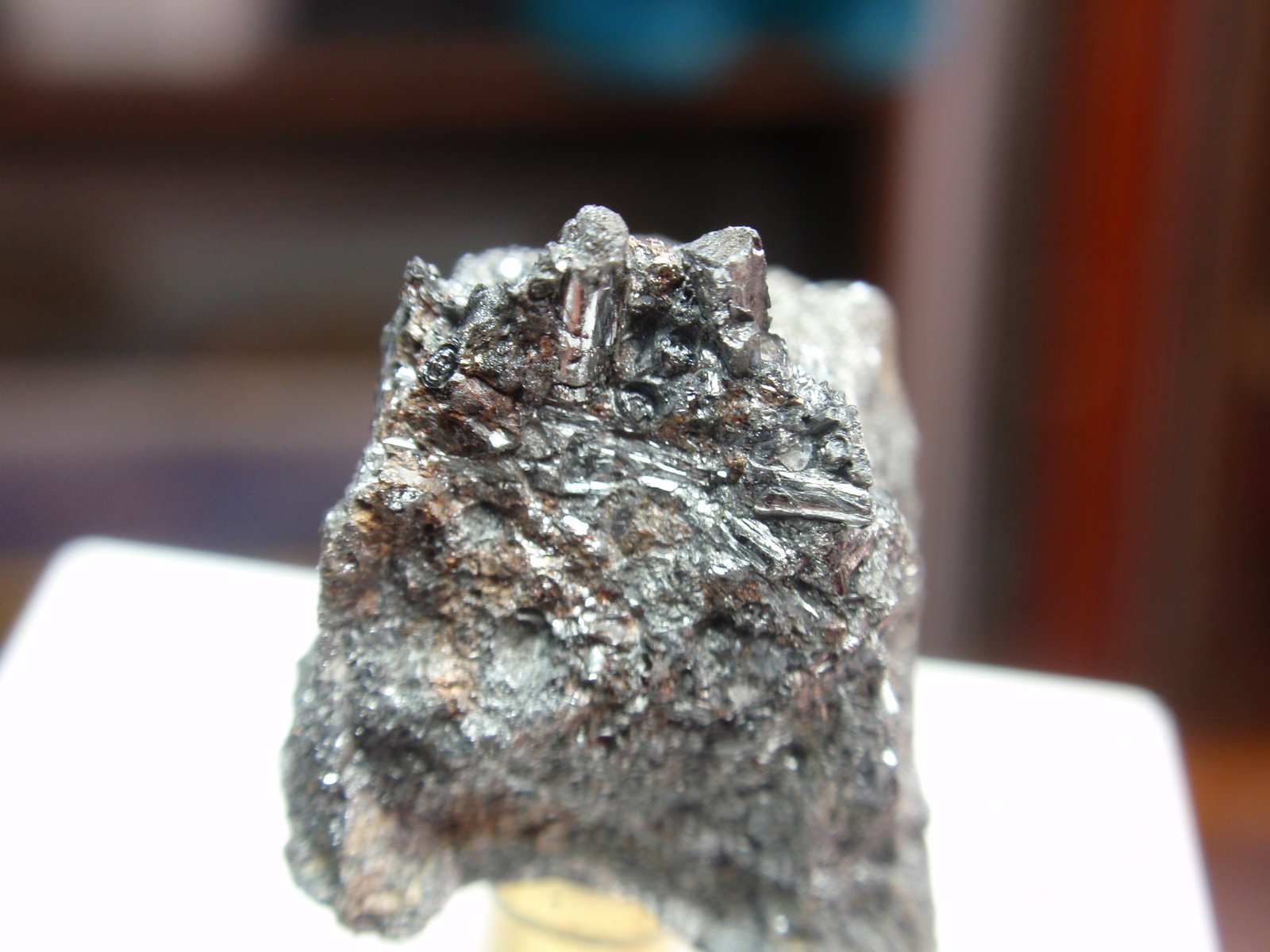 Cilindrita
15x15 mm
(Autor: Ignacio)