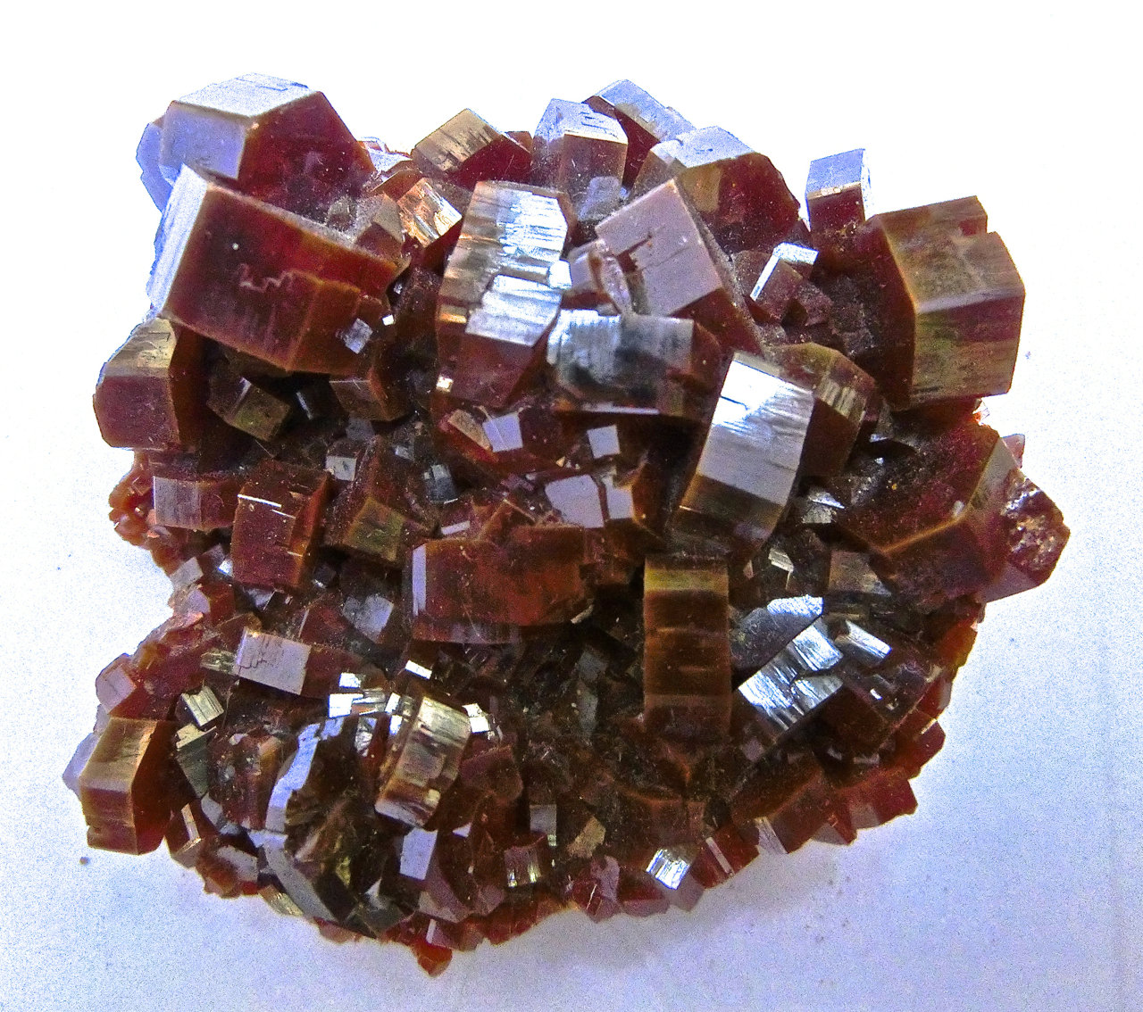 Vanadinita.
5 x 5 x 1,5 cm
(Autor: María Jesús M.)