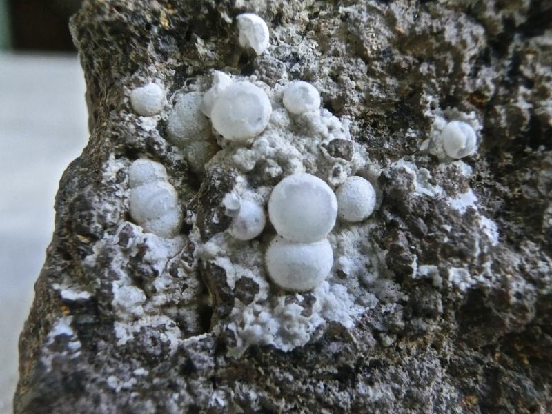 Calcita.
Cristales de 2 a 4 mm
(Autor: María Jesús M.)