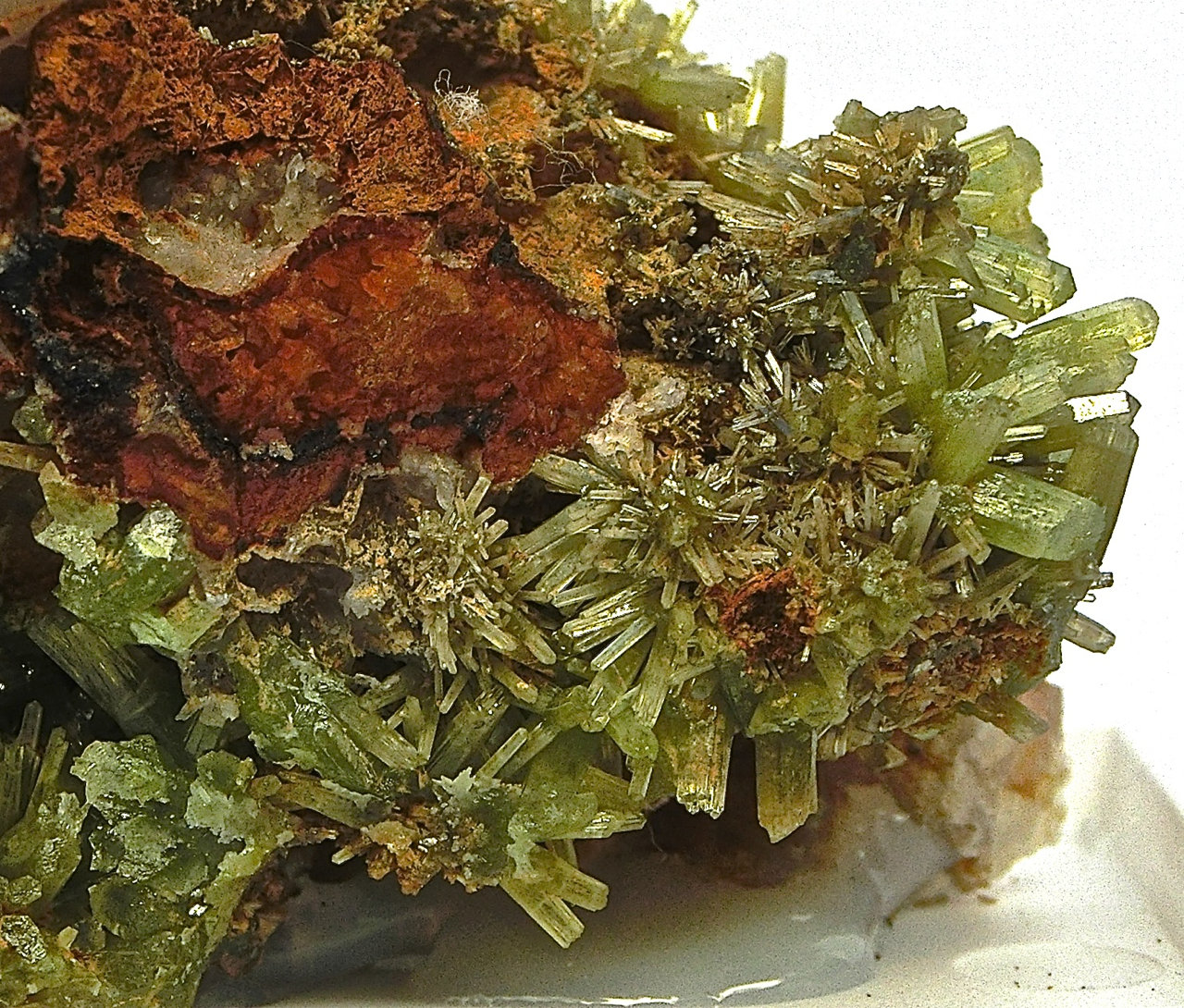 Piromorfita
Ancho de imagen 2,5 cm
(Autor: María Jesús M.)