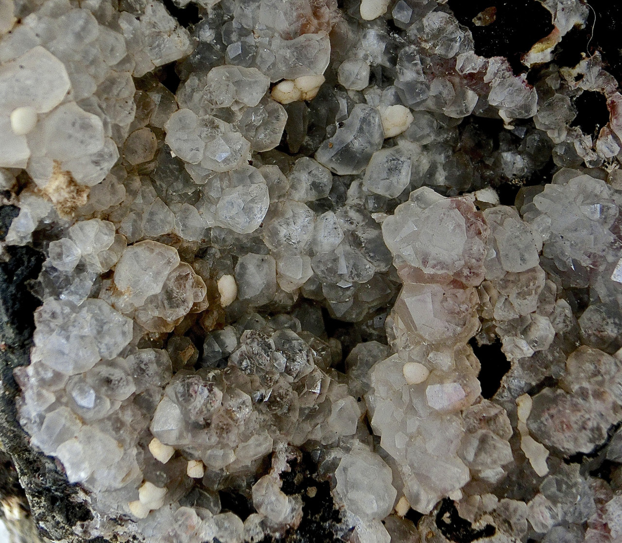 Analcima
Ancho de imagen 4 cm
(Autor: María Jesús M.)
