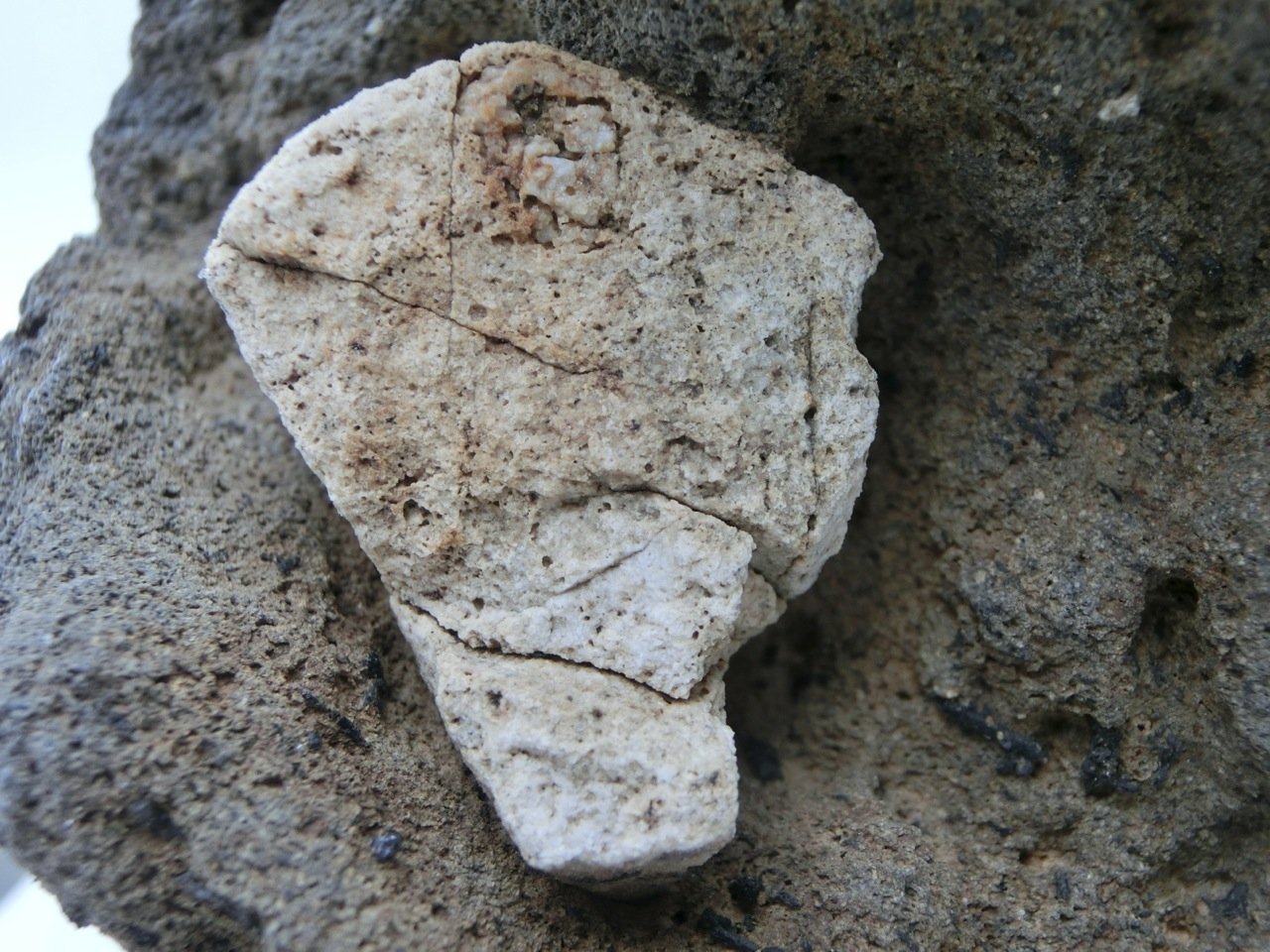 Feldespato
3 x 2,5 x 1,5 cm
(Autor: María Jesús M.)