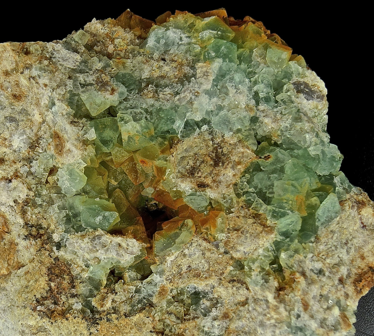 Fluorita
Ancho de imagen 4 cm
(Autor: María Jesús M.)