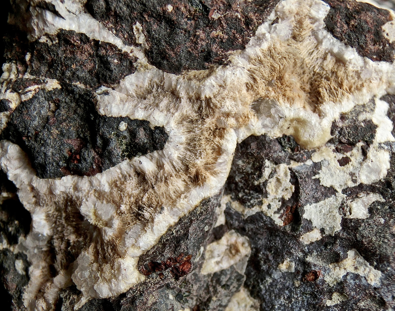 Natrolita y Mesolita.
Ancho de imagen 5 cm
(Autor: María Jesús M.)