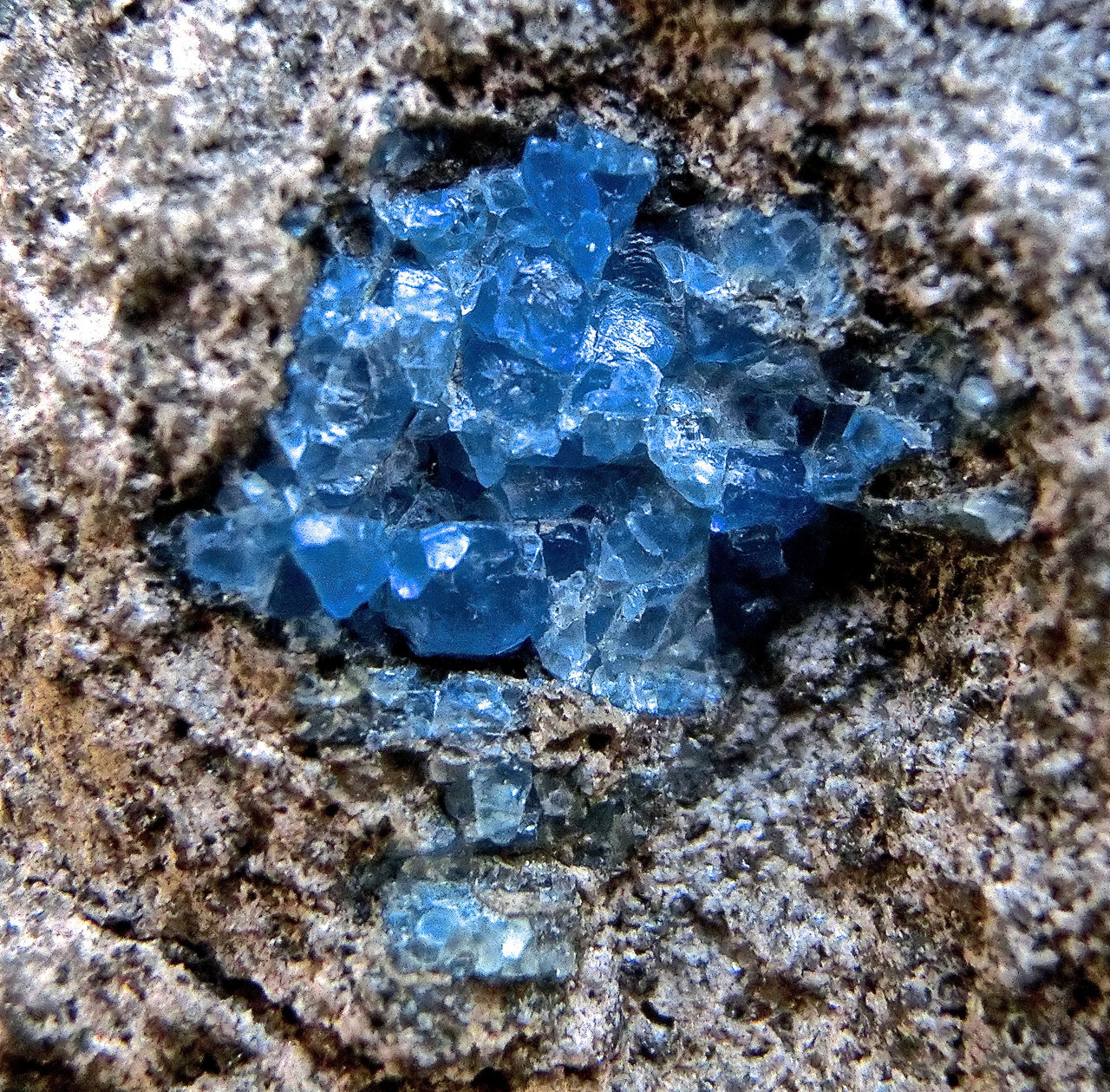 Haüyna
Ancho de imagen 1,5 cm
(Autor: María Jesús M.)