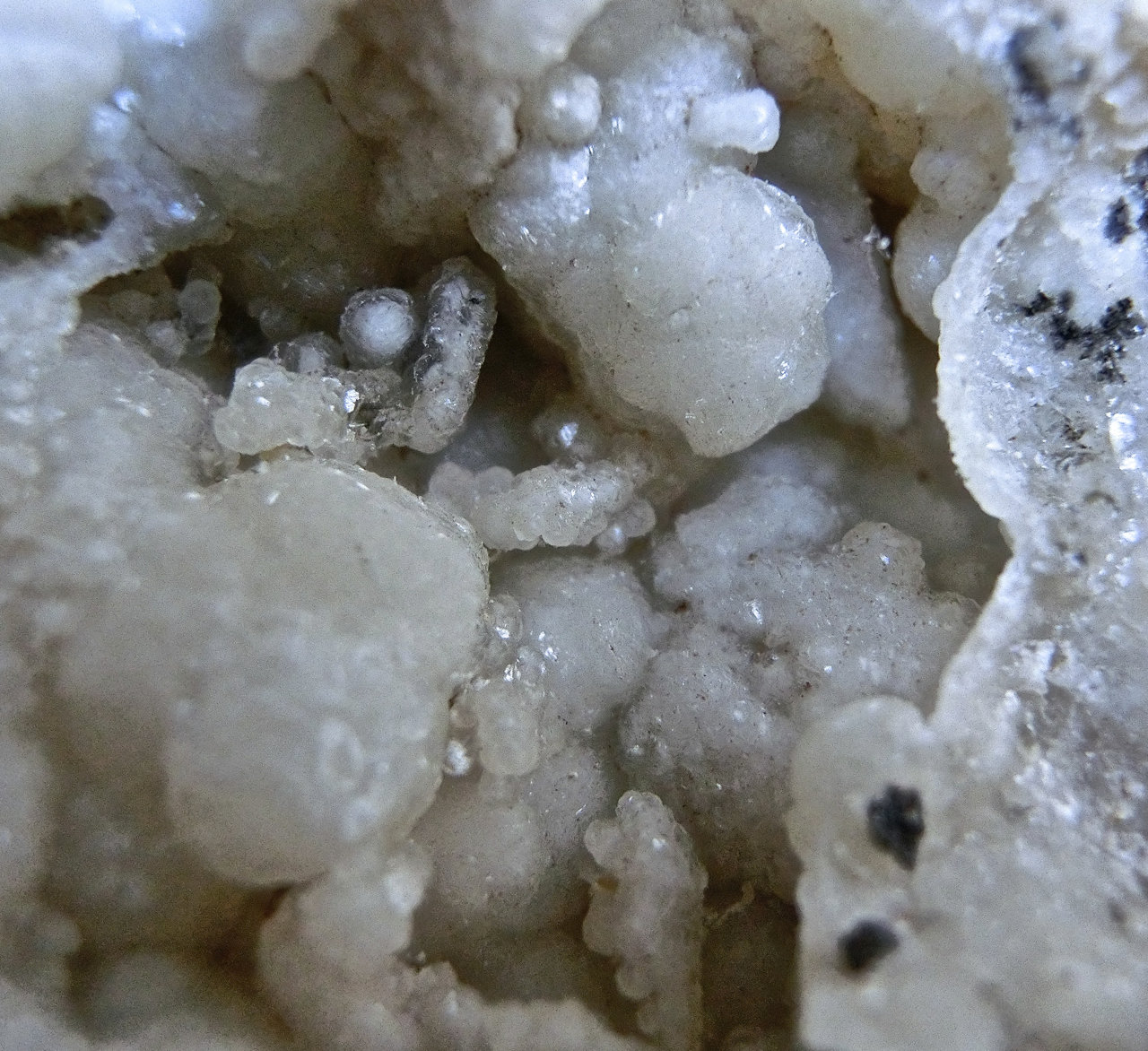 Calcita.
Ancho de imagen 1,5 cm
(Autor: María Jesús M.)