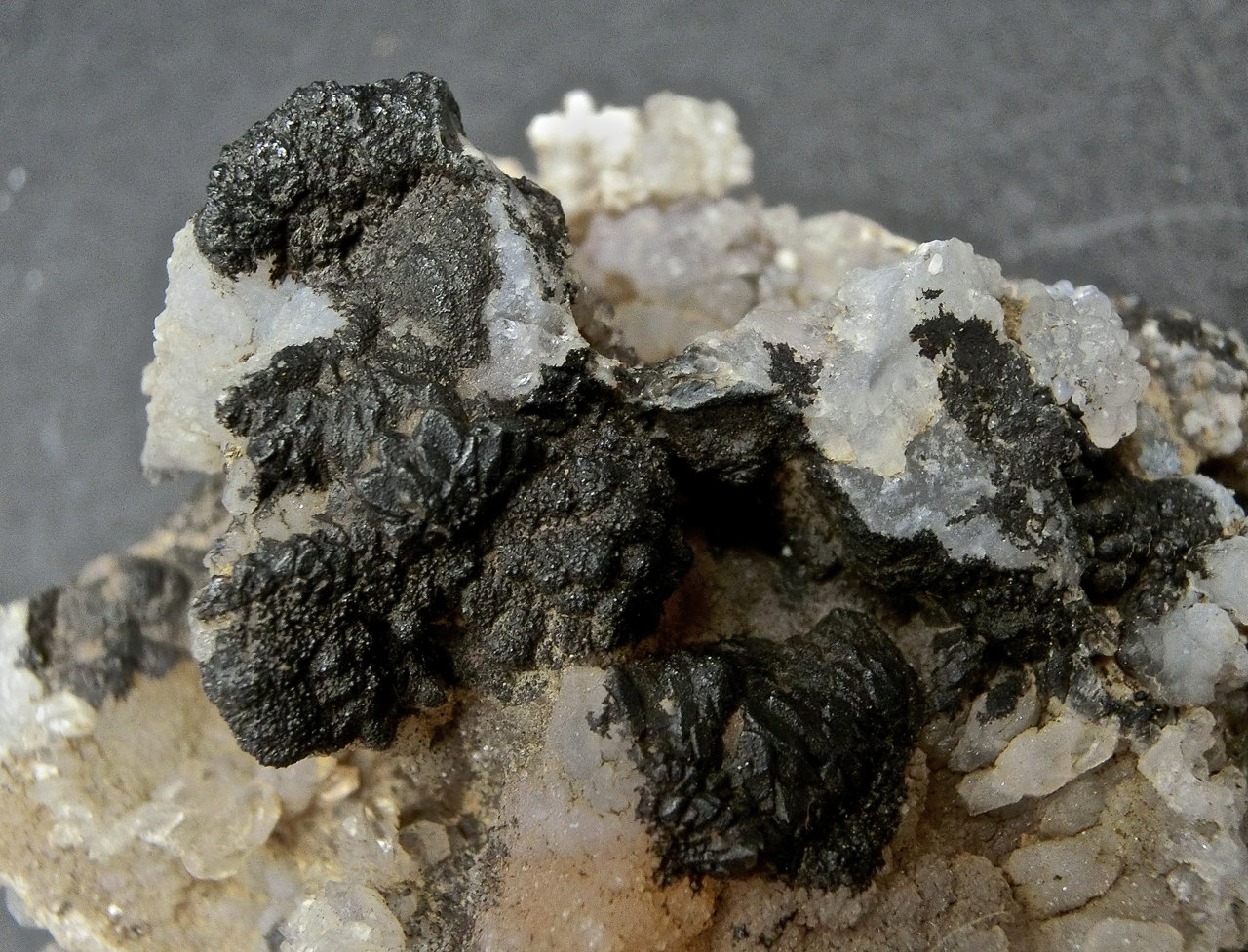 óxidos de manganeso y Cuarzo (variedad calcedonia)
3,5 X 2,5 cm, detalle de la anterior
(Autor: María Jesús M.)