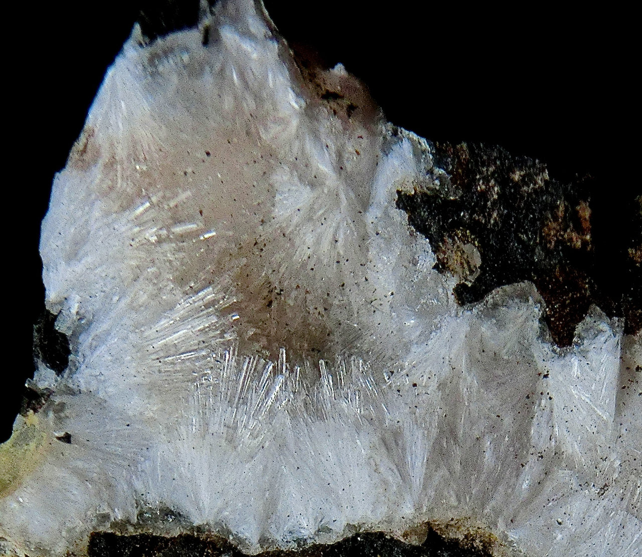 Natrolita y Mesolita.
Ancho de imagen 1,5 cm
(Autor: María Jesús M.)