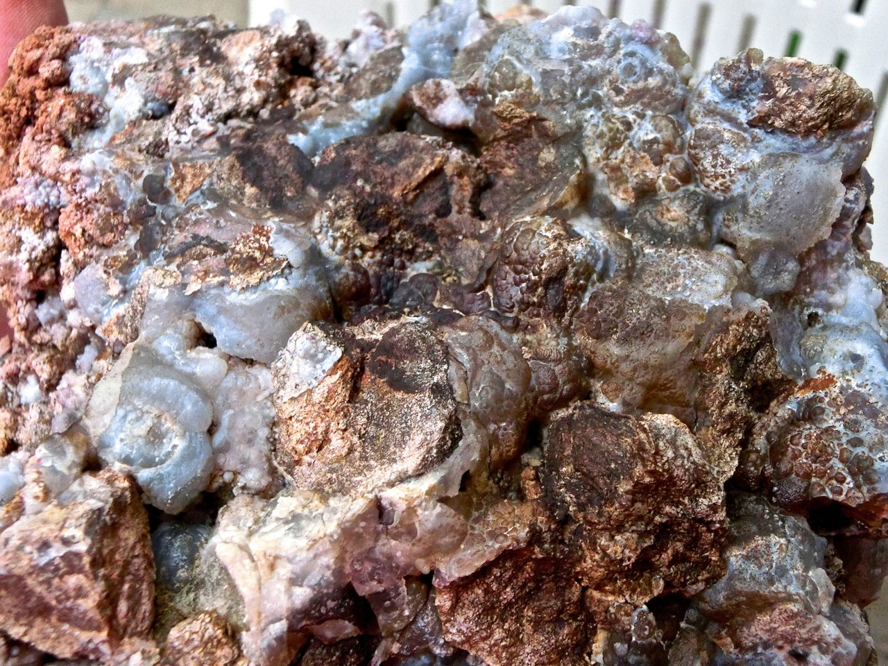 Cuarzo (variedad calcedonia)
Ancho de imagen 13 cm
(Autor: María Jesús M.)