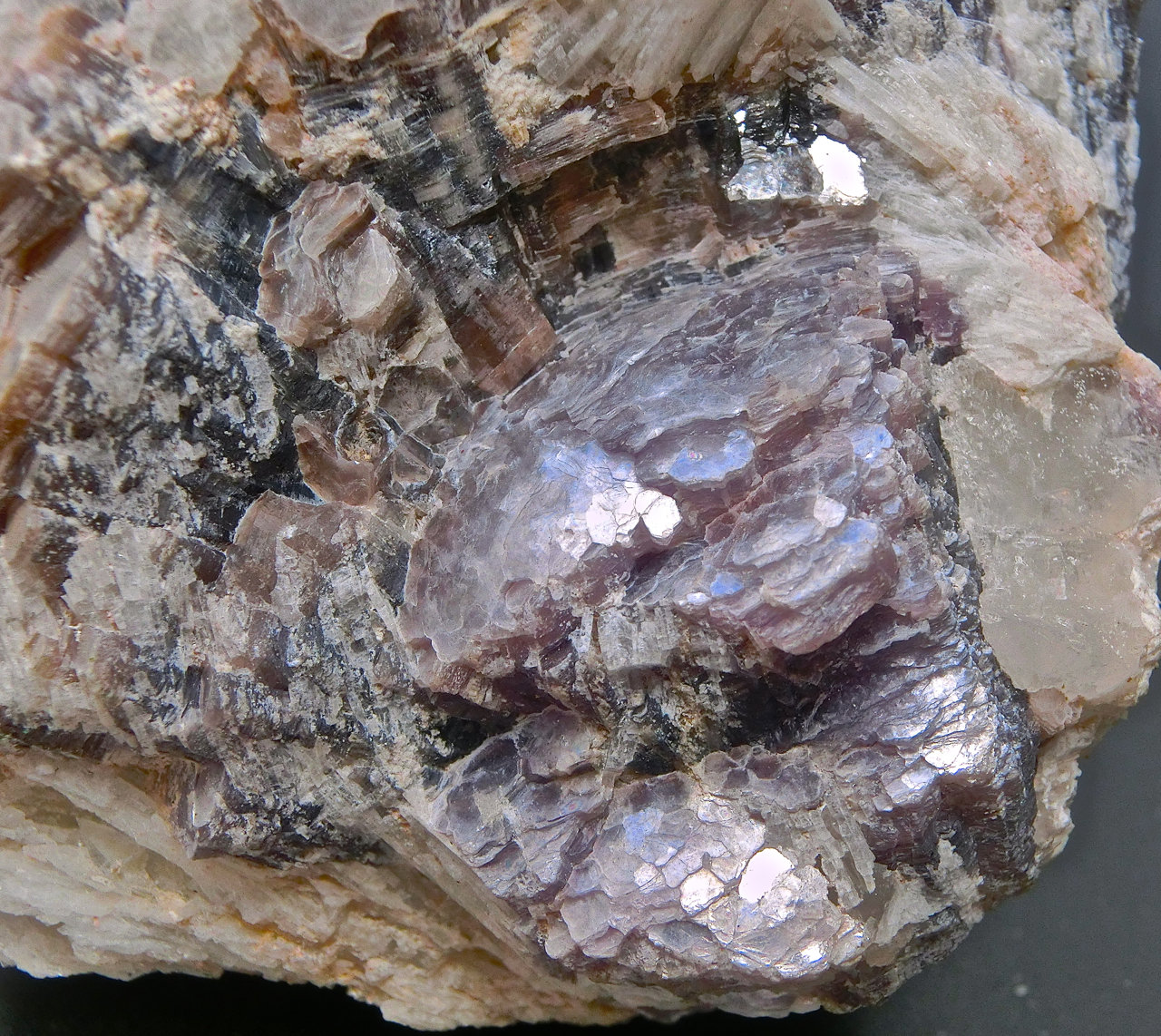Lepidolita
Ancho de imagen 4 cm
(Autor: María Jesús M.)