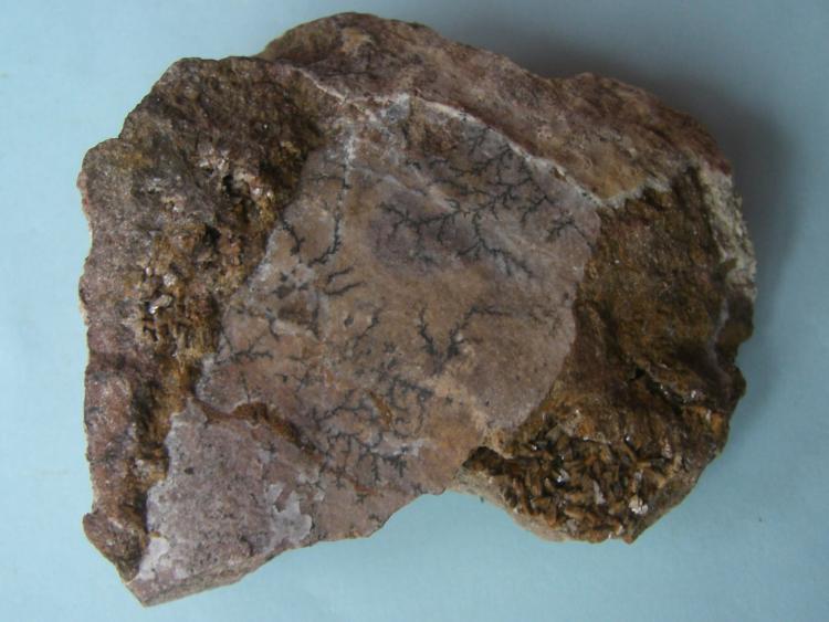 óxido en dendrita
7 x 7 cm.
(Autor: Antonio GG)