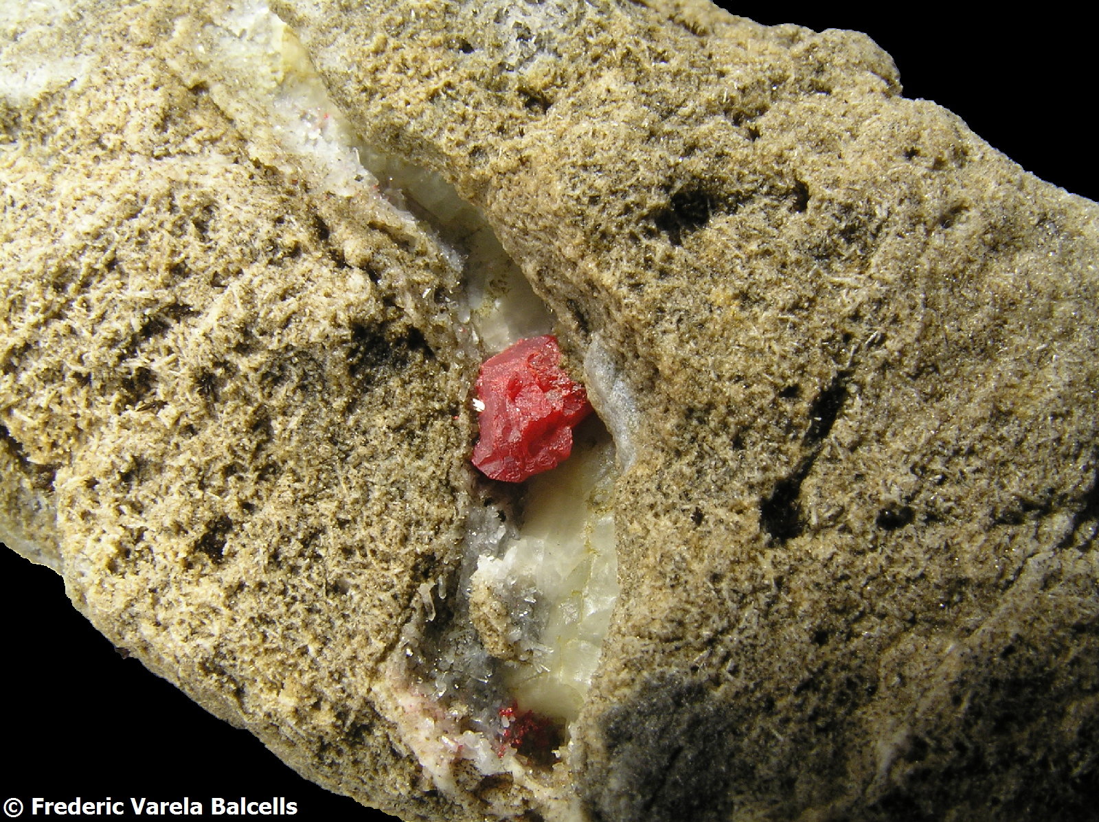 Cinabrio
Cristal de 0,6 x 0,3 cm
(Autor: Frederic Varela)