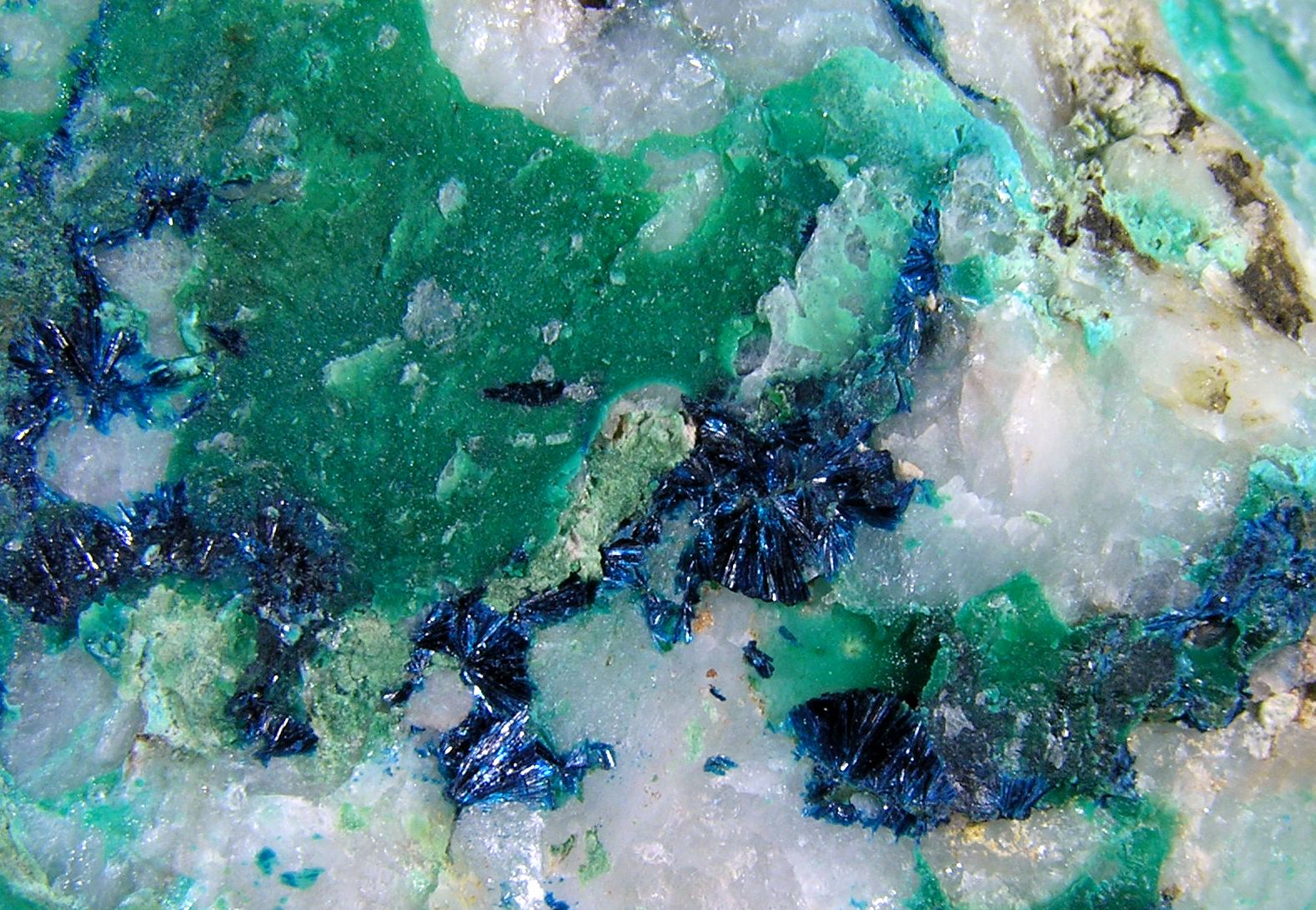 Clinoclasa
7x5x2,5 cm.
(Autor: Nacho)