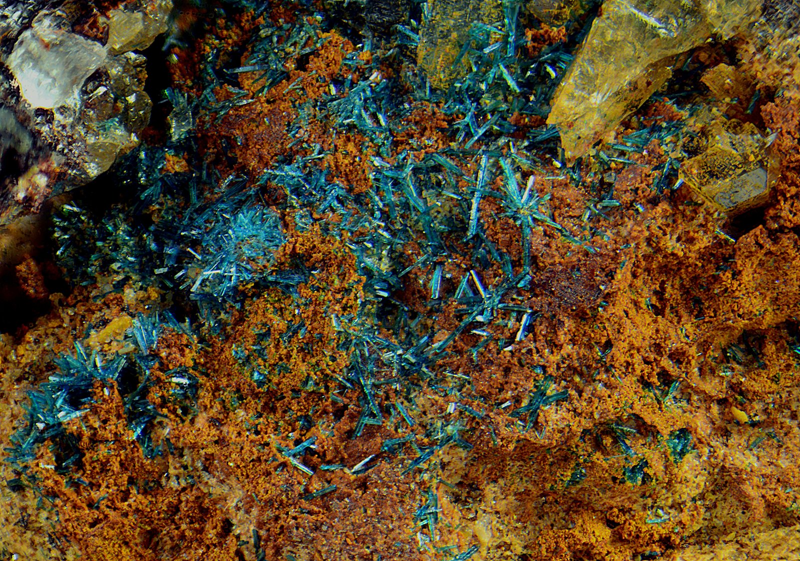 Clinoclasa
Campo de visión de 1,5 mm
(Autor: Antonio Carmona)