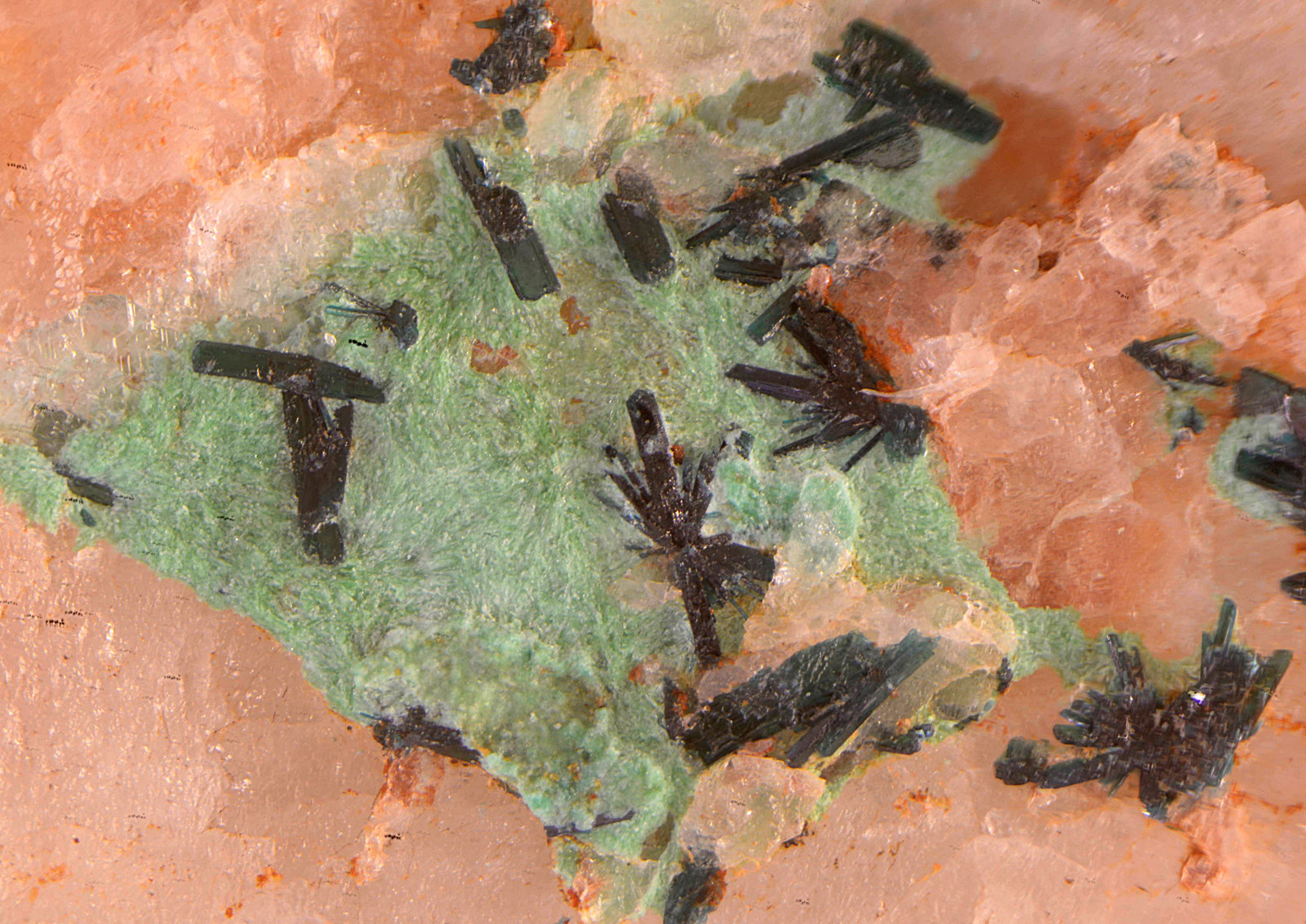Clinoclasa
Campo de visión de 2 mm.
(Autor: Antonio Carmona)