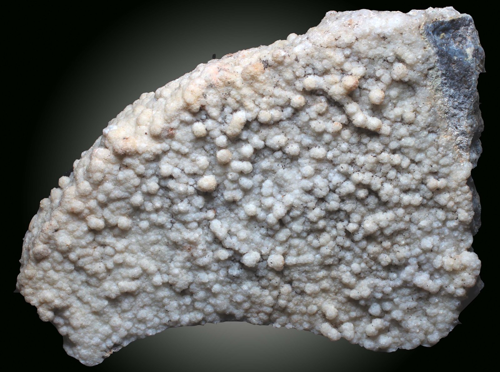 Clinoptilolita
65 x 50 x 15 mm
(Autor: José Luis Zamora)