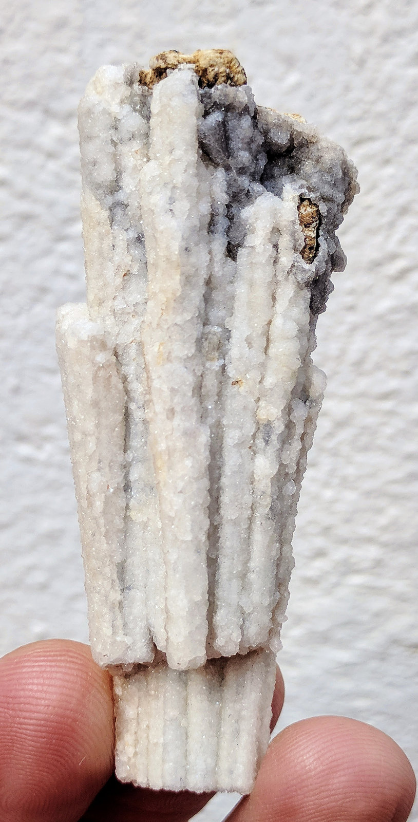 Clinoptilolita-Ca, Prehnita
6,6 x 2,5 x 2,0 cm
(Autor: carles)