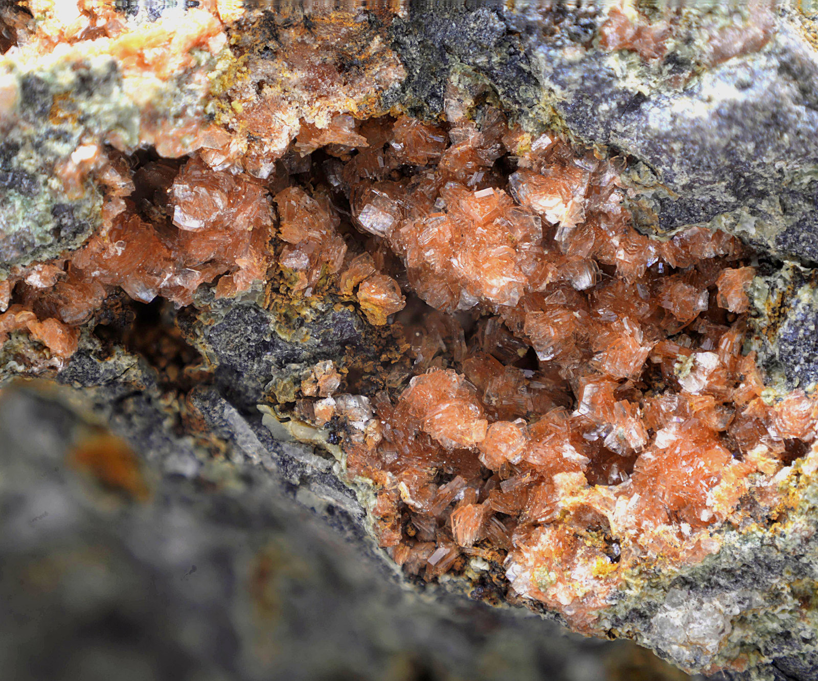 Clinoptilolita-Ca
Campo de visión de 10 mm
(Autor: Antonio Carmona)