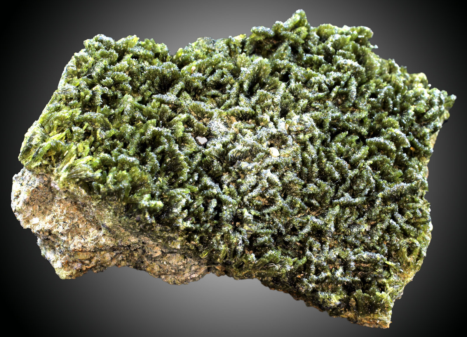 Epidota
47 x 33 x 17 mm.
(Autor: José Luis Zamora)