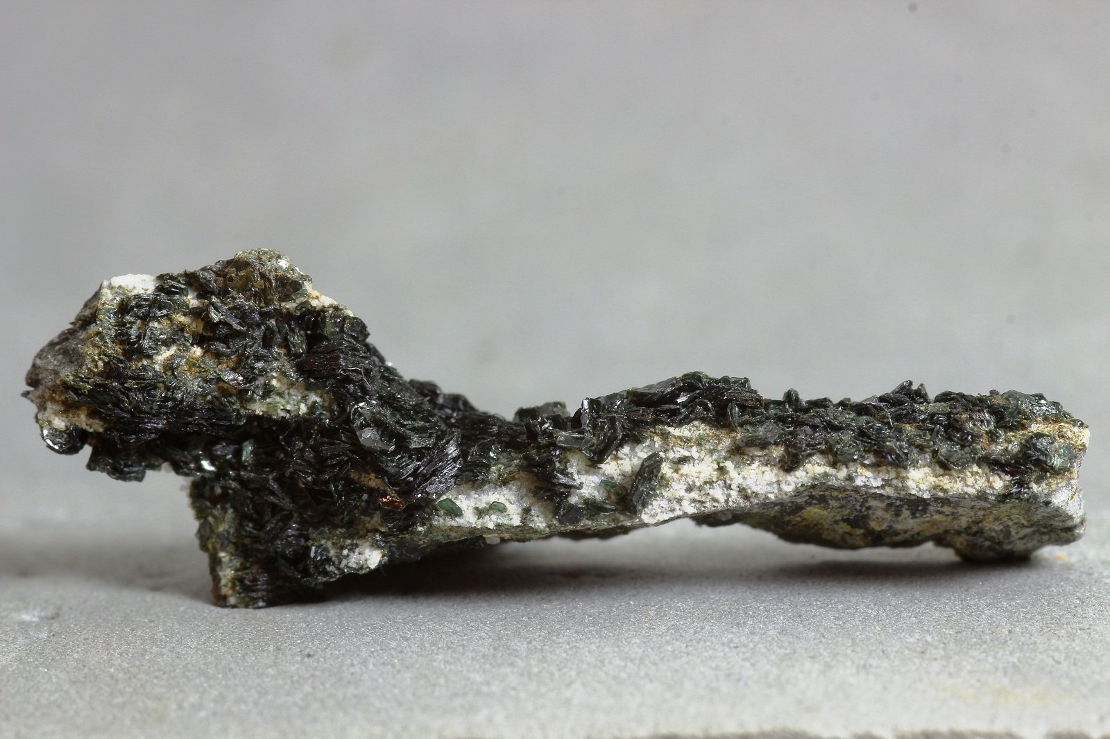Clorita (Grupo)
40x10 mm
(Autor: Juan Espino)