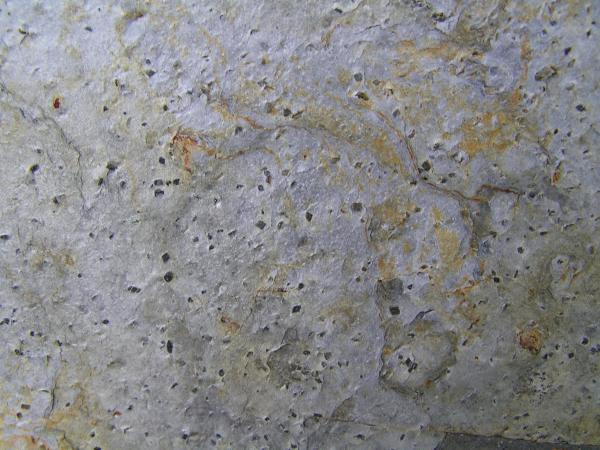 Cloritoide
(Autor: Carlos J. Rodríguez)